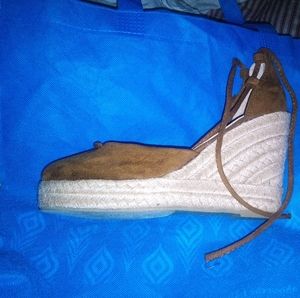 Bucco Capensis Wedges